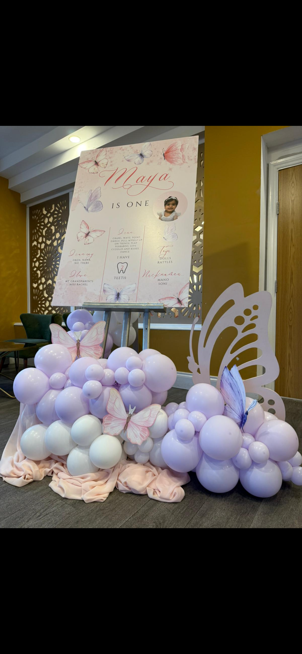 Milestone Board First Birthday Butterfly Theme